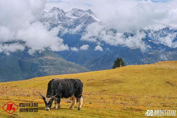 神兵猛將助英雄《小小空城計(jì)》帶你認(rèn)知兵種