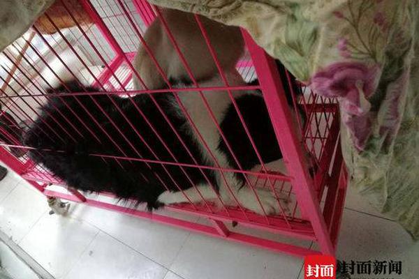 戰(zhàn)斗吧勇士 《放置勇者村》精彩副本大曝光