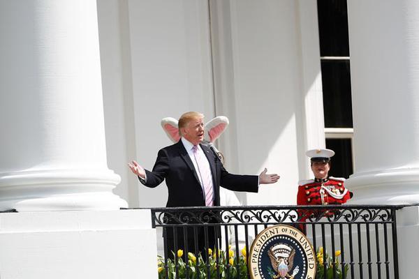 漫天花色正芳菲 《?；ǖ馁N身高手》美人作戰(zhàn)