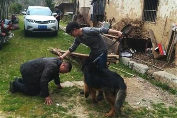 戰(zhàn)力沸騰 《時(shí)空獵人》新區(qū)域戰(zhàn)出新感覺(jué)