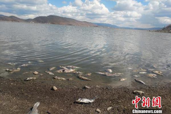 《英雄戰(zhàn)魂之元素王座》區(qū)配戰(zhàn)斗贏(yíng)豪禮[圖]