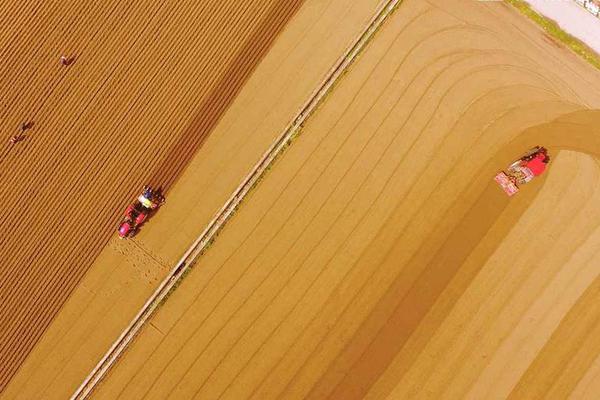 《西游萌萌》跨服競(jìng)技臺(tái) 強(qiáng)中自有強(qiáng)中手