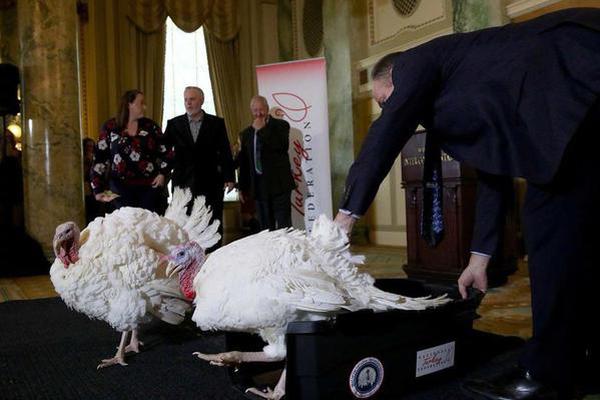 《夢(mèng)100》妖怪夜行奇譚與復(fù)活券扭蛋同時(shí)開(kāi)啟