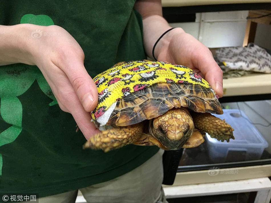 《全民奇跡》明星賽19點(diǎn)開(kāi)打 草莓鼠大王互懟