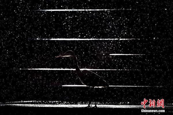 《九陰》手游第四屆武林至尊爭(zhēng)奪戰(zhàn)正式開(kāi)啟