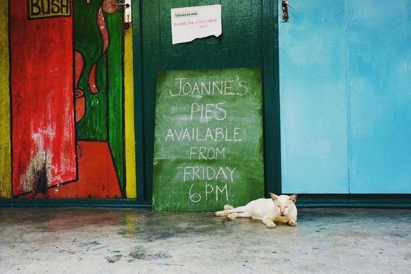 一體化光電神經(jīng)器件研究獲進(jìn)展