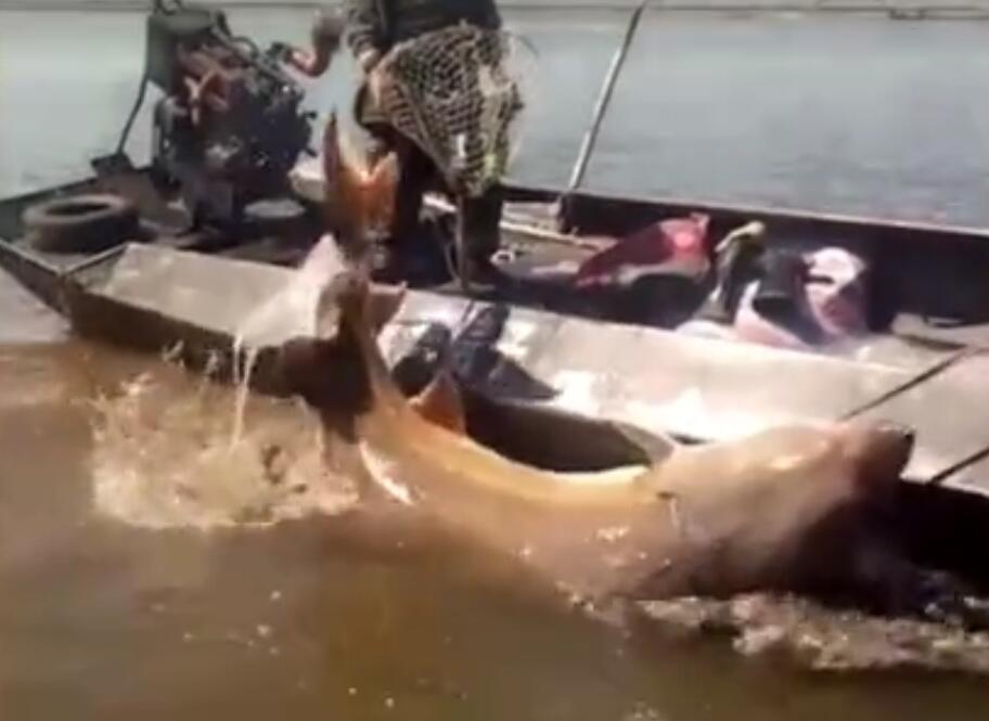 大吉之象 《熹妃傳》手游卦象系統(tǒng)淺析