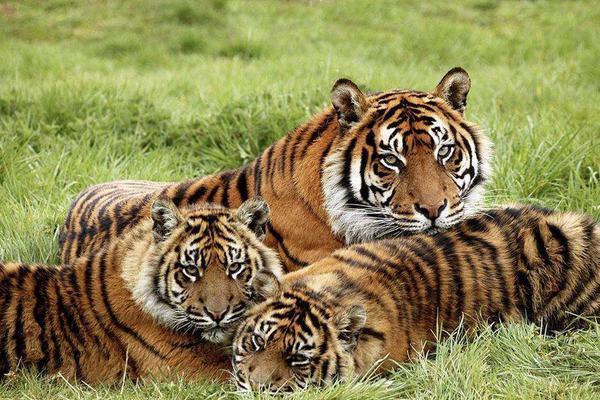 《戀舞OL》溫馨照片墻 秀出甜蜜印證