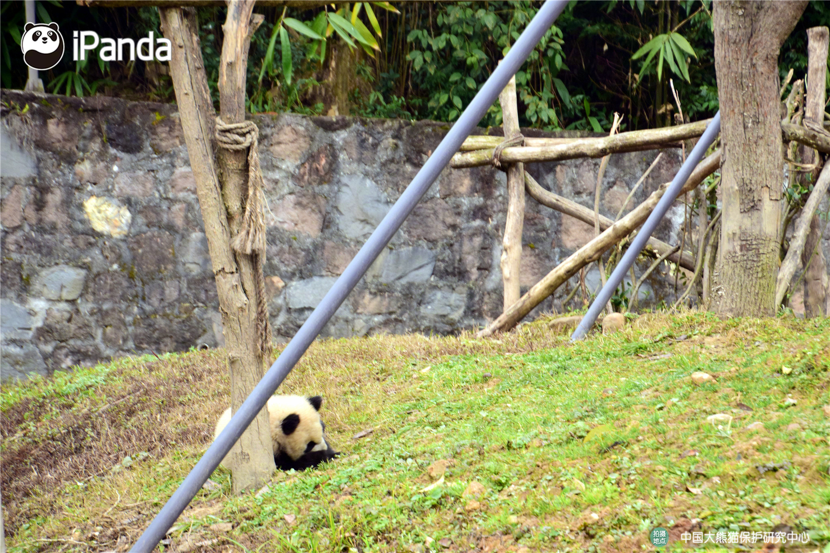 《真江湖HD》新玩法上線(xiàn) 飛檐走壁輕功奪寶