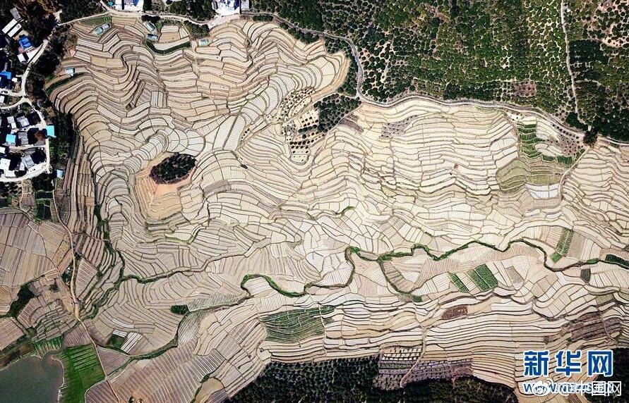 極品飛車(chē)online車(chē)神招募計(jì)劃3階段報(bào)名開(kāi)始