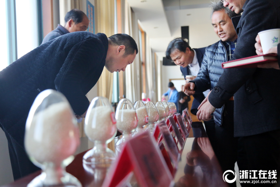 圍城之戰(zhàn) 《掃蕩三國(guó)》BOSS來(lái)襲玩法曝光