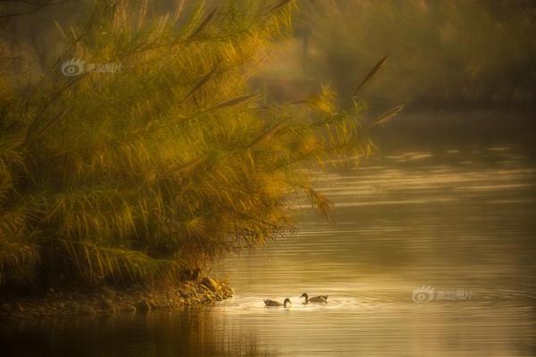 黑科技哪家強(qiáng) 《我的使命》好芯片讓你戰(zhàn)力登頂