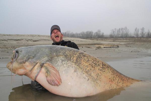 《夢(mèng)100》與《K》夢(mèng)幻聯(lián)動(dòng)第二期開(kāi)啟