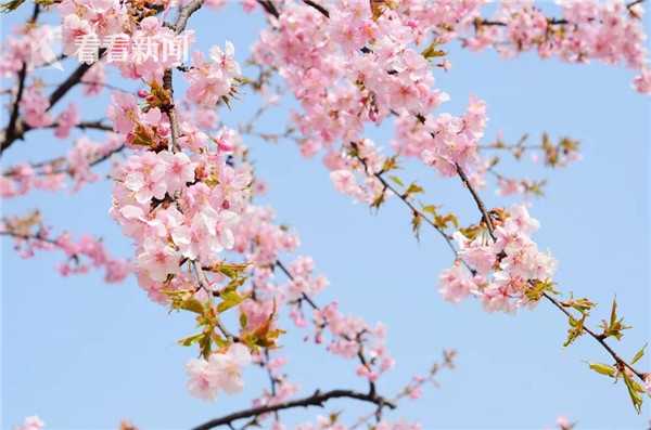 《戮仙戰(zhàn)紀(jì)》新版本晚宴時(shí)裝秀 今晚大咖就是你