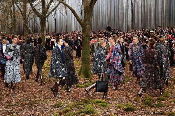 我的妖精就是這么暖心 《曙光破曉》激萌來(lái)襲