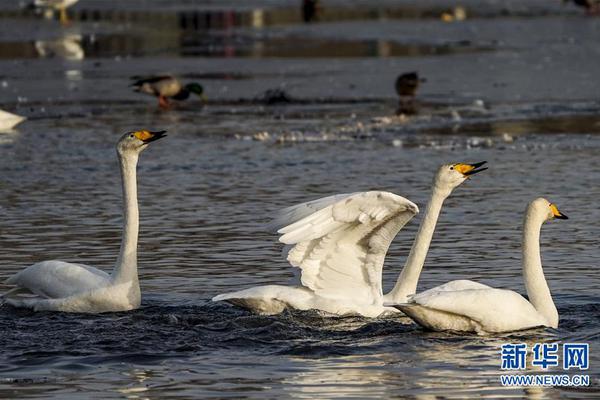 《機(jī)械迷宮》正式登陸AppStore中國(guó)區(qū)