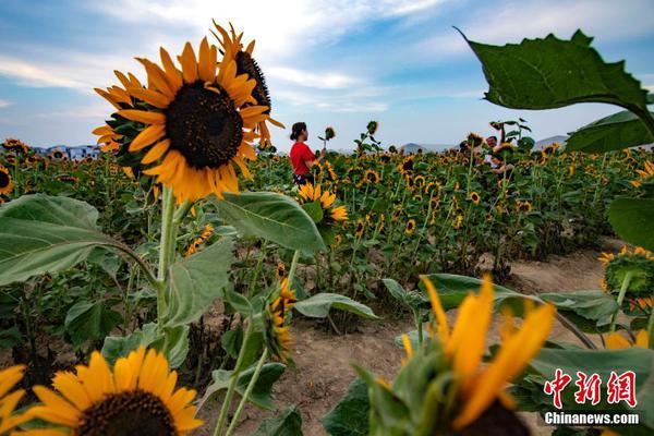 《雷霆海戰(zhàn)》戰(zhàn)艦研發(fā)指南 熟練主流以策萬(wàn)全