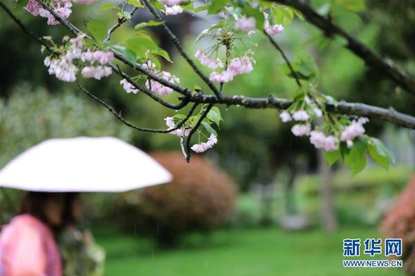 《九陽(yáng)神功：起源》安卓全平臺(tái)預(yù)約已近百萬(wàn)