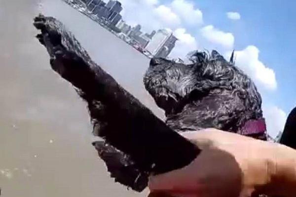 霸氣坐騎降臨 《九陰真經(jīng)3D》異獸養(yǎng)成奧妙無(wú)窮