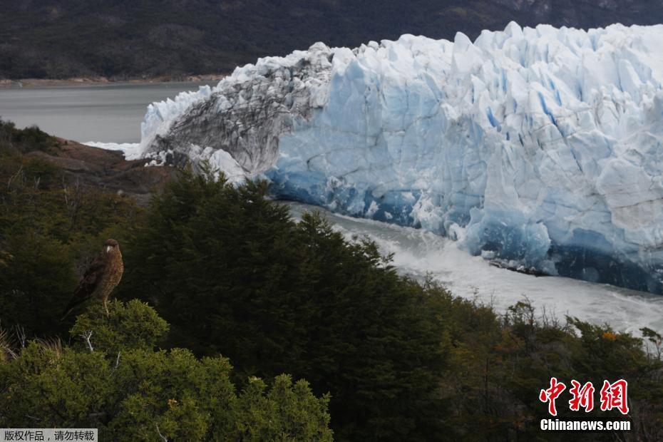 《輻射 避難所》AppStore獲新皮膚