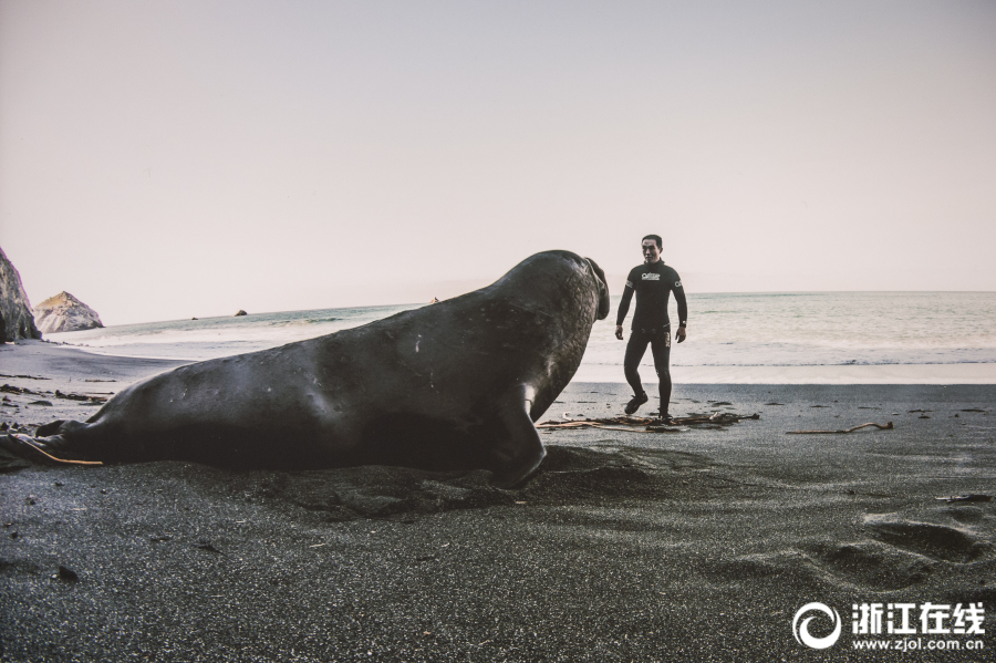 老哥穩(wěn)！《我的使命》教你如何制霸競(jìng)技場(chǎng)