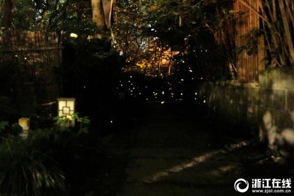 最強(qiáng)保護(hù)傘 《海島戰(zhàn)爭(zhēng)》全面揭秘聯(lián)盟玩法